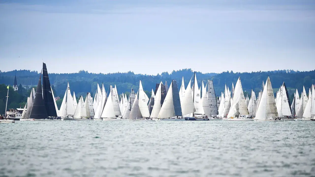 Viele Segelboote kämpfen bei einer spannenden Segelregatta aktuell um die Wette. Die Boote mit weißen und schwarzen Segeln sind auf dem Wasser dicht beieinander.