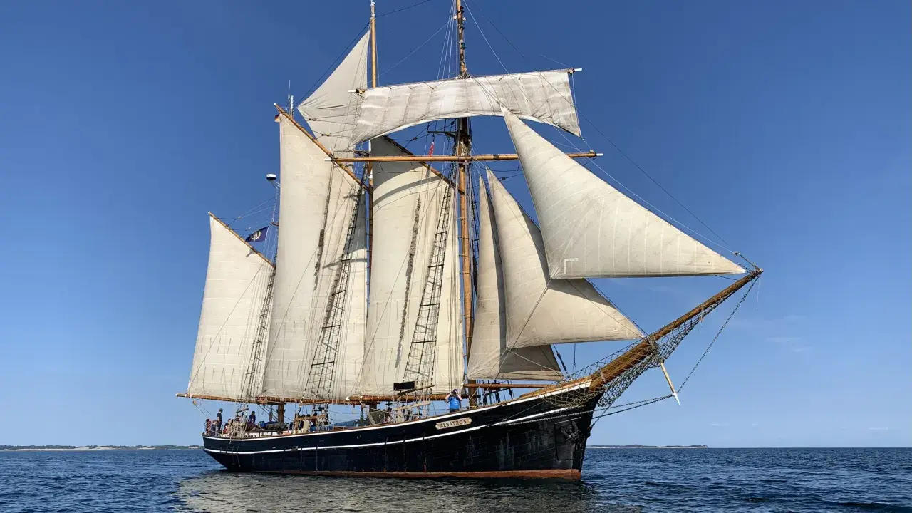 Das Segelschiff "Albatros" gleitet majestätisch über das Meer, seine weißen Segel im blauen Himmel.