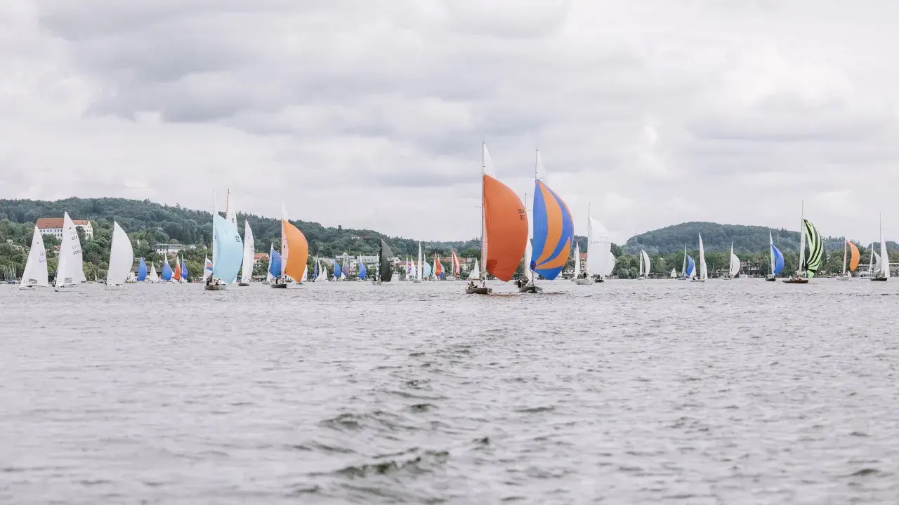 Viele Melges 24 Boote segeln auf dem Wasser, einige mit bunten Segeln, vor einer bewaldeten Küste.