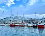 Segelboote und Fischerboote liegen im **Tromsø Hafen** vor schneebedeckten Bergen.