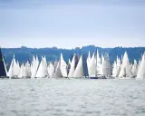 Viele Segelboote kämpfen bei einer spannenden Segelregatta aktuell um die Wette. Die Boote mit weißen und schwarzen Segeln sind auf dem Wasser dicht beieinander.