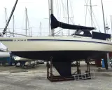 Segelboot "LA.MAVARE", eine Comfortina 32, steht auf Böcken im Hafen.