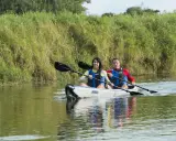 Zwei Personen paddeln in einem Kajak auf einem ruhigen Fluss, umgeben von üppigem grünen Ufergras. Sie genießen die Natur, vielleicht auf der Suche nach einem majestätischen Seeadler.