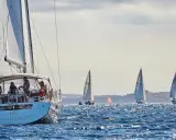 Mehrere Segelboote auf dem Meer, eines mit pinkem Segel, im Hintergrund eine Stadt. Ein spannendes Rennen beim arc segeln.