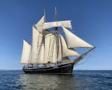 Das Segelschiff "Albatros" gleitet majestätisch über das Meer, seine weißen Segel im blauen Himmel.