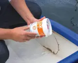 Person hält Dose mit Dichtmittel, um ein Boot abzudichten. Riss im Bootsrumpf sichtbar.