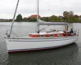 Ein Mann steuert die Segelyacht BIGA 242 auf ruhigem Wasser, im Hintergrund Häuser und Bäume.
