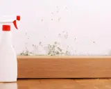 Schimmel an der Wand? Mit diesem Sprühreiniger wird die sprayhood reinigen zum Kinderspiel.