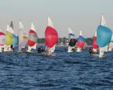 Bunte Segel dominieren das Bild einer spannenden Regatta. Mehrere kleine Boote mit Seglern sind auf dem Wasser unterwegs.