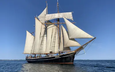 Das Segelschiff "Albatros" gleitet majestätisch über das Meer, seine weißen Segel im blauen Himmel.