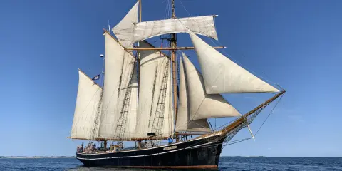 Das Segelschiff "Albatros" gleitet majestätisch über das Meer, seine weißen Segel im blauen Himmel.