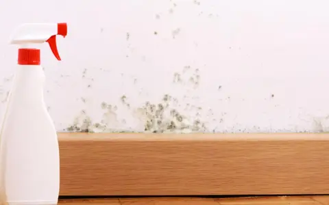 Schimmel an der Wand? Mit diesem Sprühreiniger wird die sprayhood reinigen zum Kinderspiel.