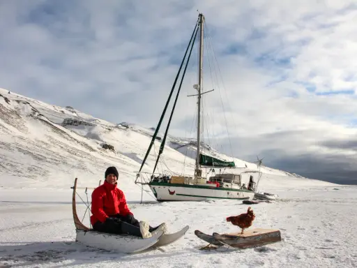 Guirec Soudée sitzt in einem Schlitten vor seinem Segelboot in einer verschneiten Landschaft. Eine Henne steht auf einem Holzbrett daneben.