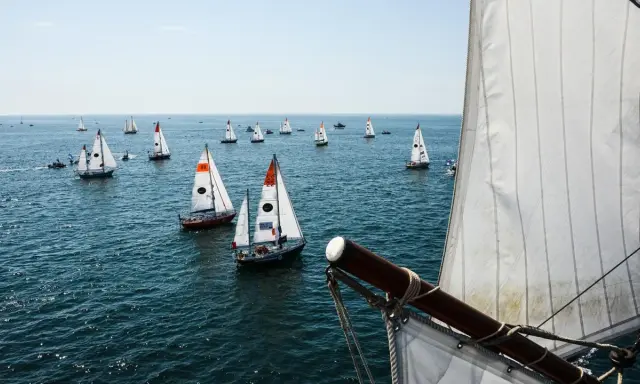 Viele Segelboote auf dem Meer, ein Teil der Segel im Vordergrund. Ein spannender Moment der Golden Globe Race.