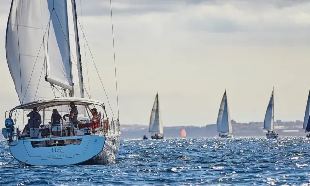 Mehrere Segelboote auf dem Meer, eines mit pinkem Segel, im Hintergrund eine Stadt. Ein spannendes Rennen beim arc segeln.