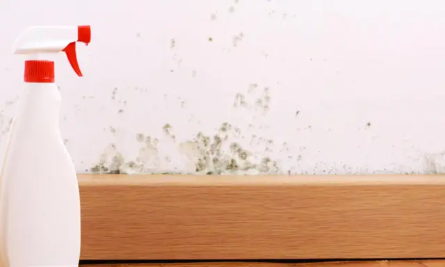 Schimmel an der Wand? Mit diesem Sprühreiniger wird die sprayhood reinigen zum Kinderspiel.