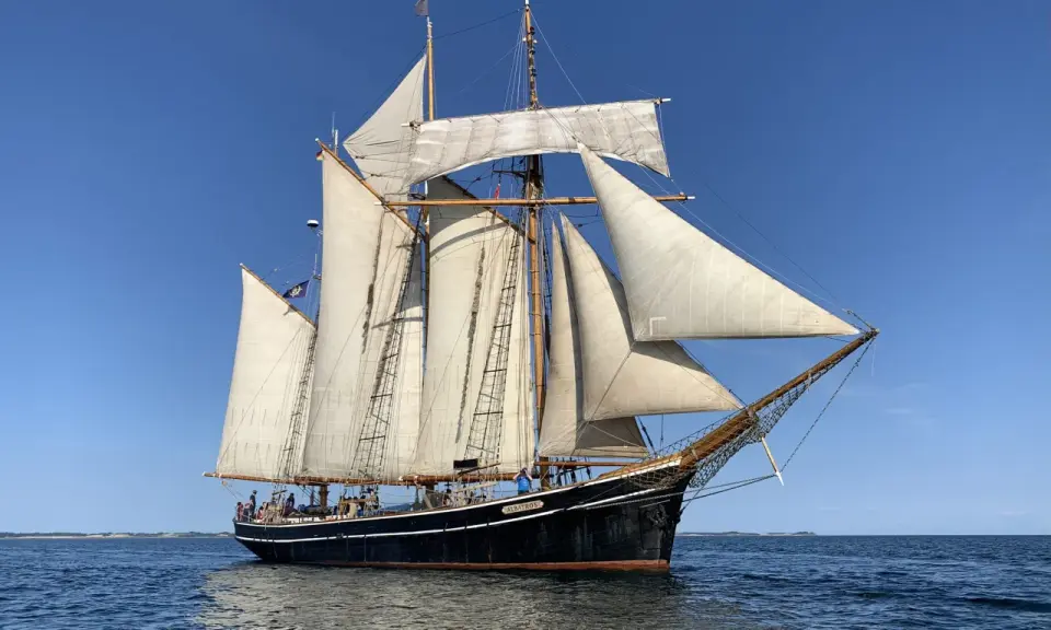 Das Segelschiff "Albatros" gleitet majestätisch über das Meer, seine weißen Segel im blauen Himmel.
