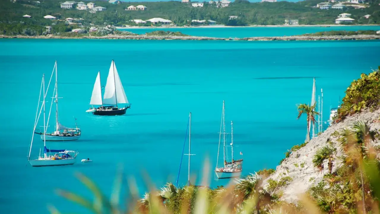 Traumhaftes Bahamas Segeln: Mehrere Segelboote gleiten auf t&uuml;rkisfarbenem Wasser, im Hintergrund gr&uuml;ne H&uuml;gel mit H&auml;usern.