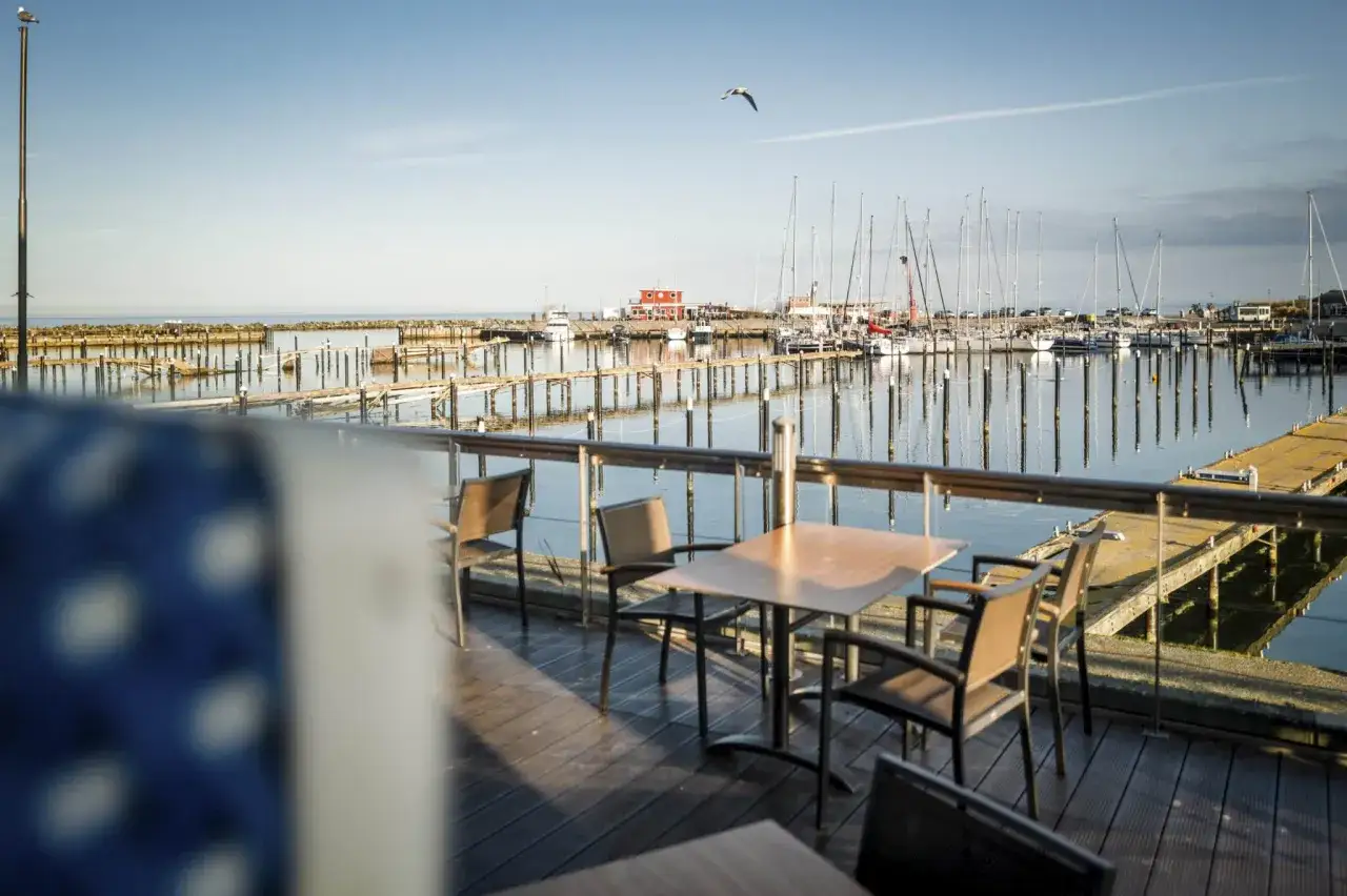 Ein ruhiger Hafen mit vielen Segelbooten, ein Tisch mit Stühlen auf einer Holzterrasse, die zum Entspannen einlädt. Ein Möwe fliegt über dem Wasser. Dampf 2000.