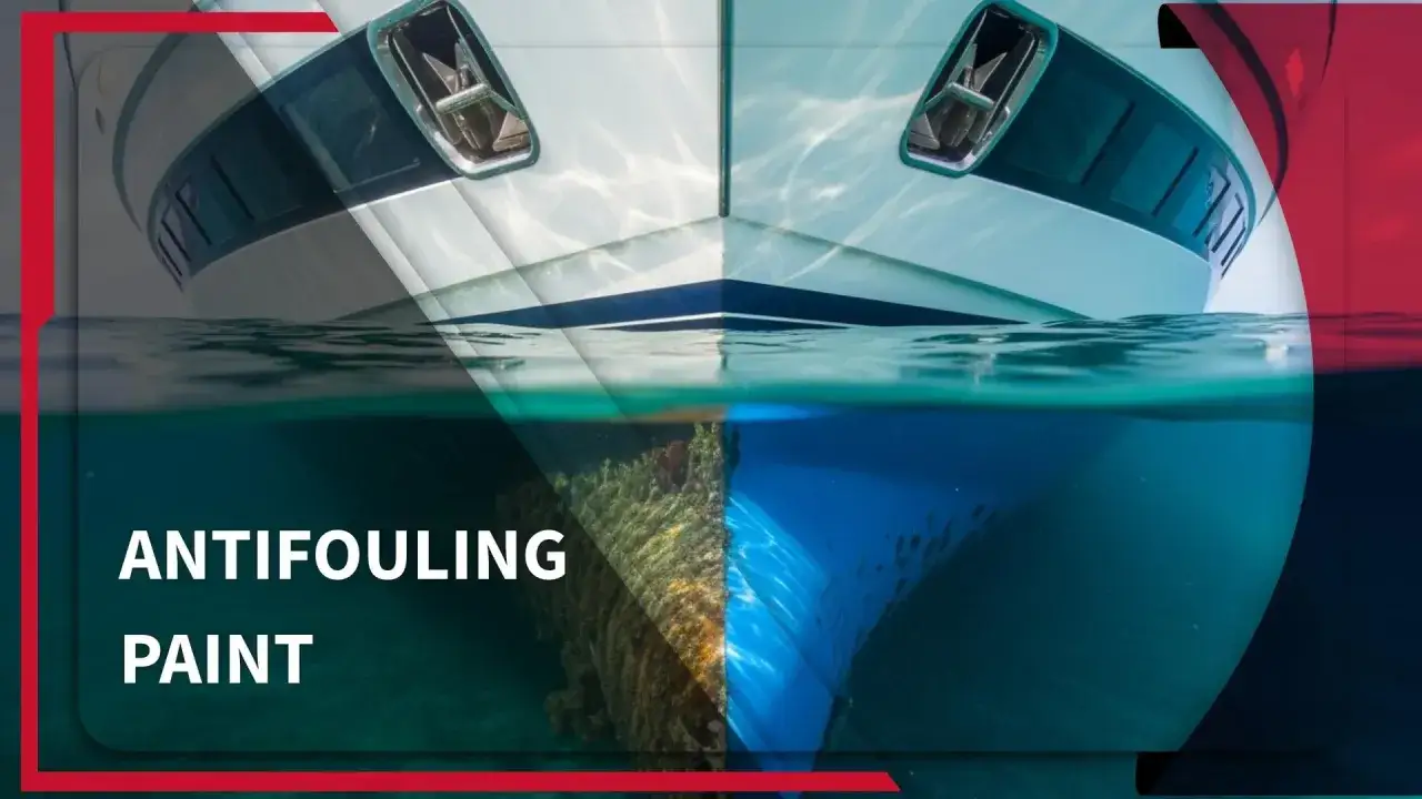 Vergleich: Schiff mit Bewuchs vs. Schiff mit Antifouling-Farbe. Erfahren Sie, was Antifouling ist und wie es Ihr Boot schützt.