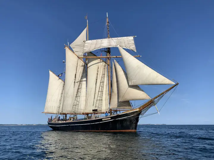 Das Segelschiff "Albatros" gleitet majestätisch über das Meer, seine weißen Segel im blauen Himmel.